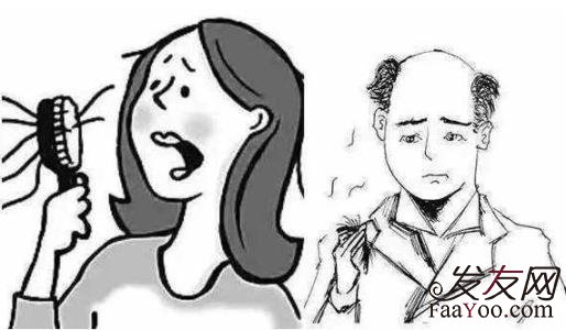  前額植發(fā)一般多少錢？