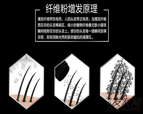 蘇玫氏增發(fā)纖維