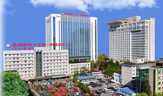 昆明植發(fā)醫(yī)院排名前五|碧蓮盛植發(fā)、人民醫(yī)院、雍禾植發(fā)植發(fā)等上榜!