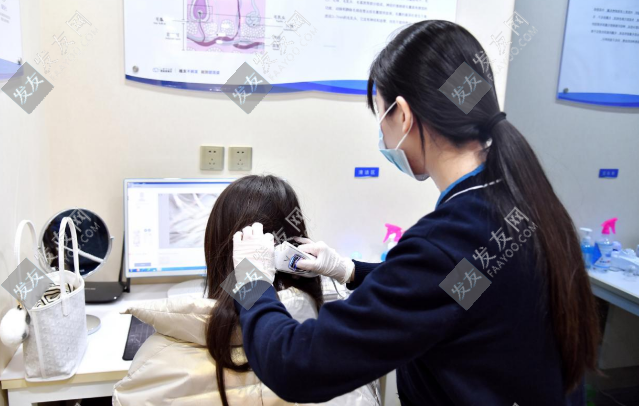 碧蓮盛植發(fā)技術